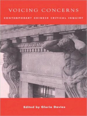 cover image of Voicing Concerns